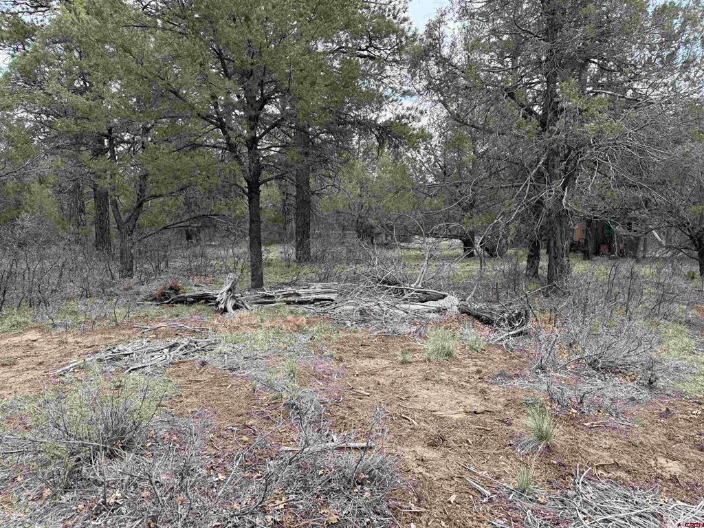 99 Cheyenne Drive Durango CO 81301