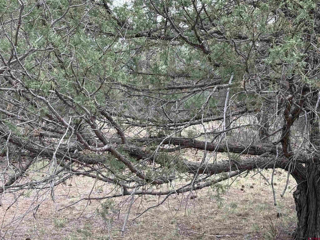 99 Cheyenne Drive Durango CO 81301