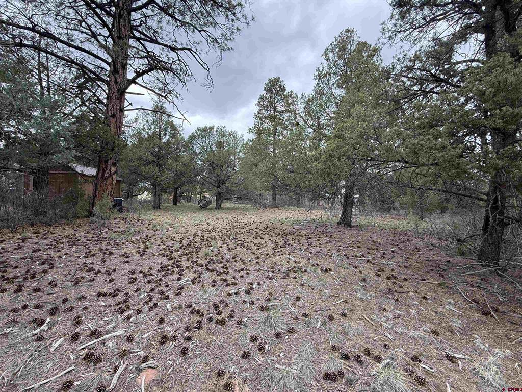 99 Cheyenne Drive Durango CO 81301