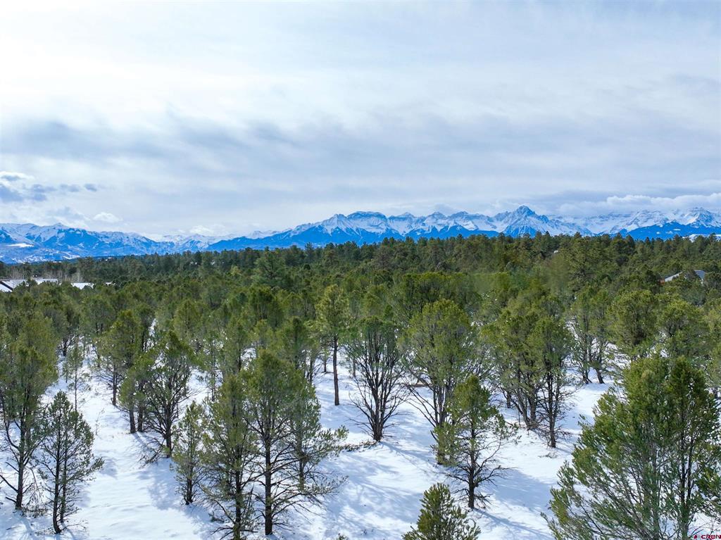Lot 28 Fisher Canyon Drive Ridgway CO 81432