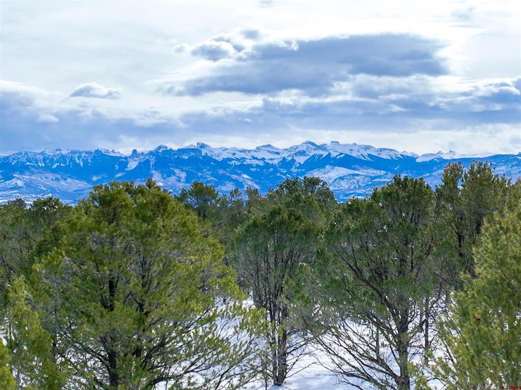 Lot 28 Fisher Canyon Drive Ridgway CO 81432