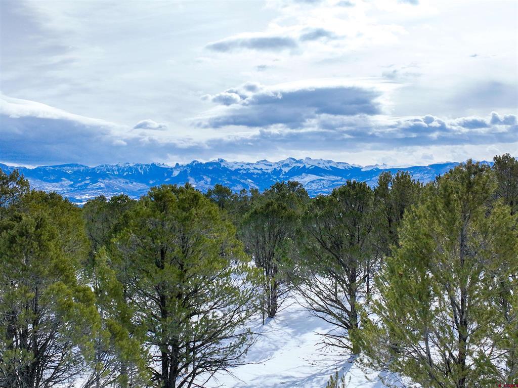 Lot 28 Fisher Canyon Drive Ridgway CO 81432