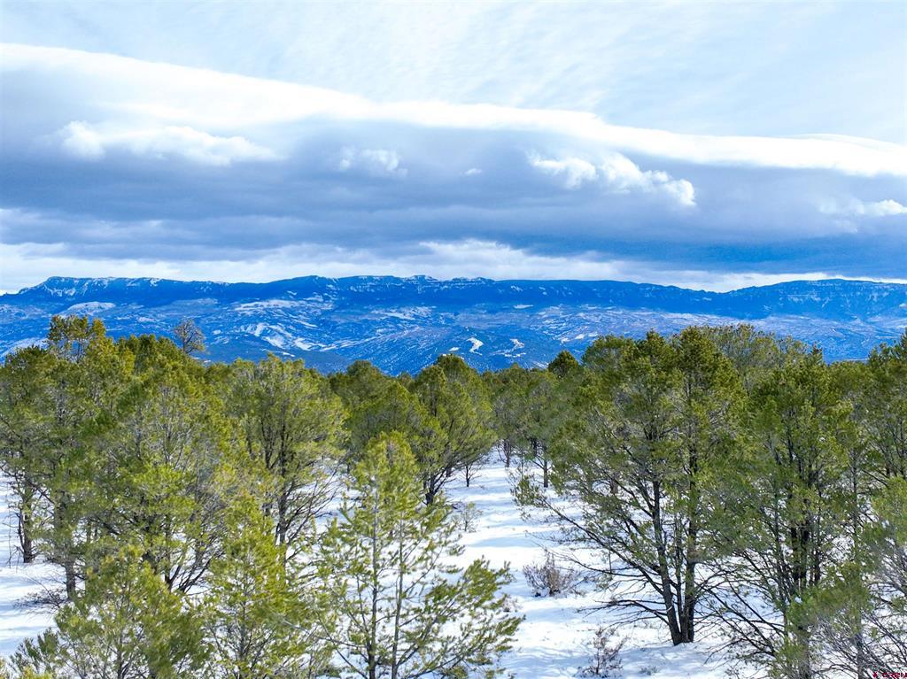 Lot 28 Fisher Canyon Drive Ridgway CO 81432