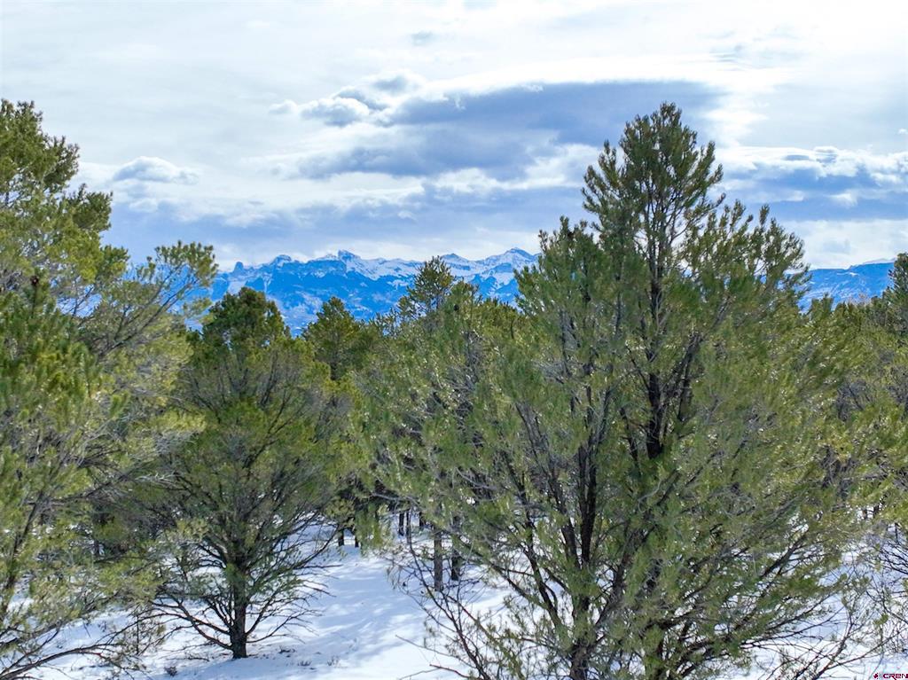 Lot 28 Fisher Canyon Drive Ridgway CO 81432
