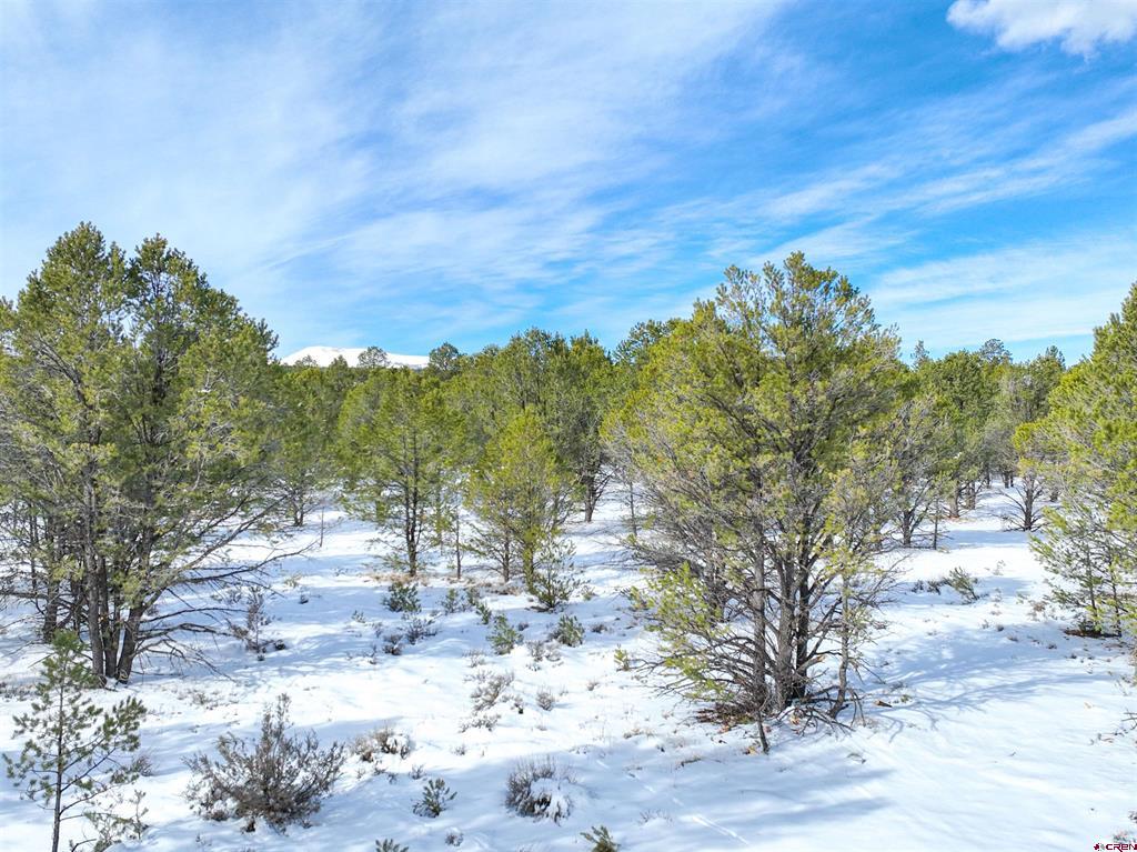 Lot 28 Fisher Canyon Drive Ridgway CO 81432