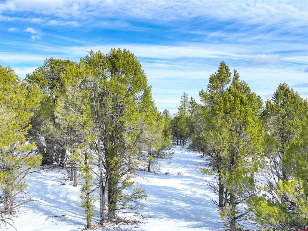 Lot 28 Fisher Canyon Drive Ridgway CO 81432