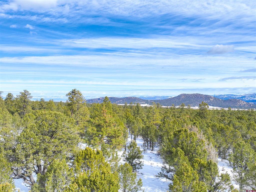 Lot 28 Fisher Canyon Drive Ridgway CO 81432