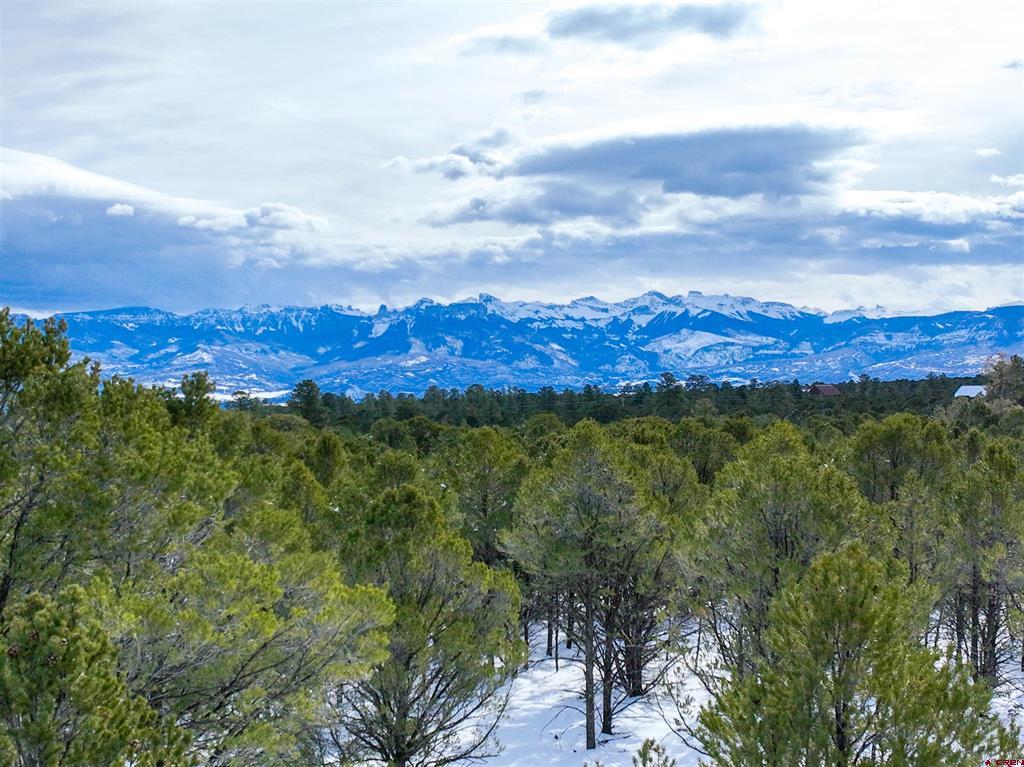 Lot 28 Fisher Canyon Drive Ridgway CO 81432