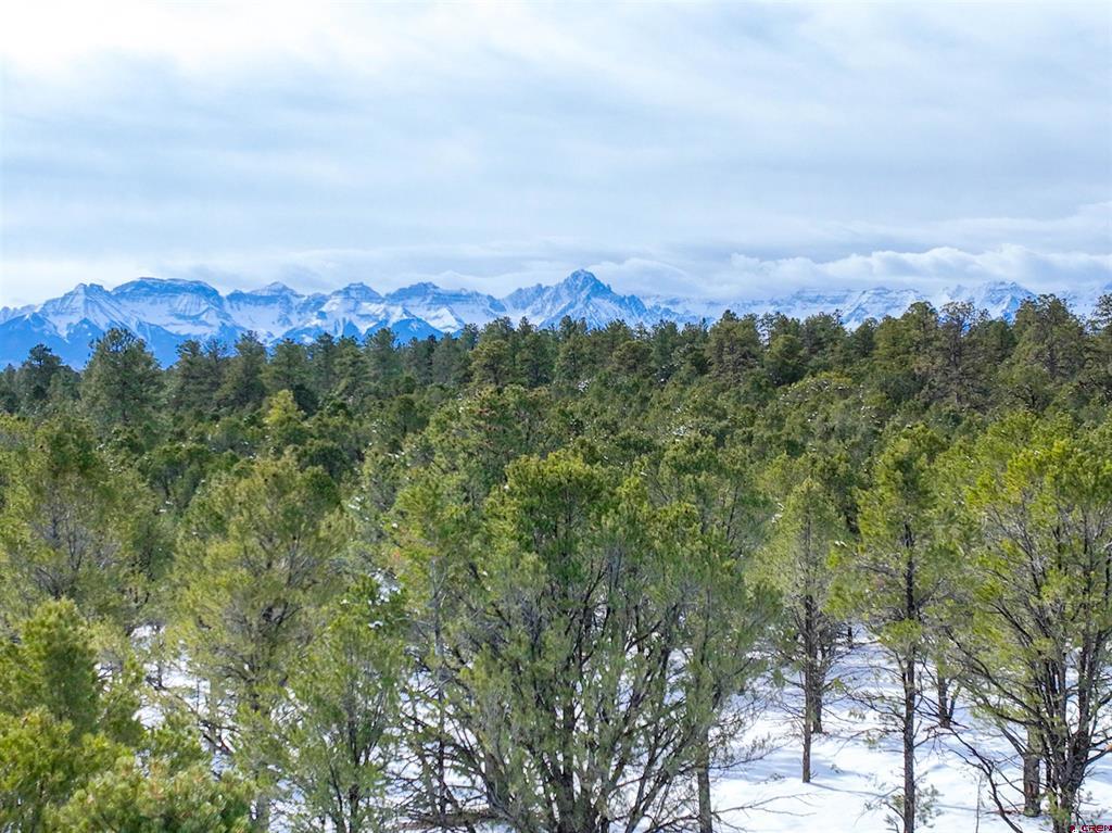 Lot 28 Fisher Canyon Drive Ridgway CO 81432