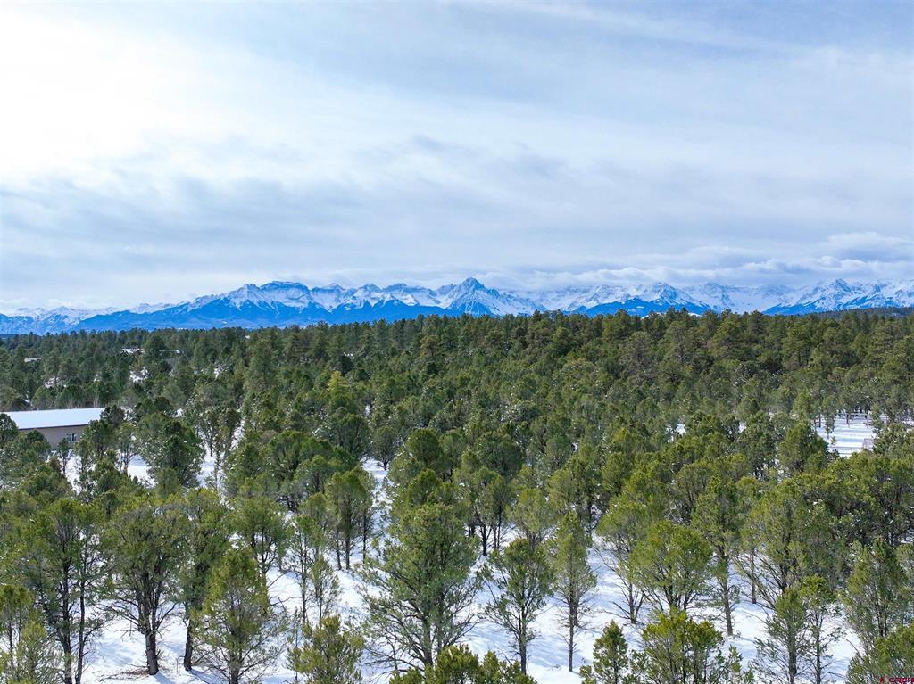 Lot 28 Fisher Canyon Drive Ridgway CO 81432