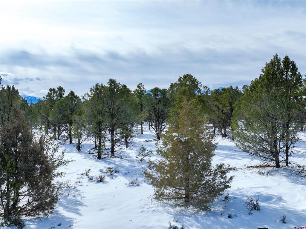 Lot 28 Fisher Canyon Drive Ridgway CO 81432