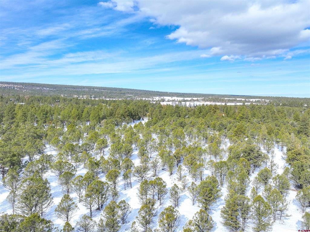Lot 28 Fisher Canyon Drive Ridgway CO 81432