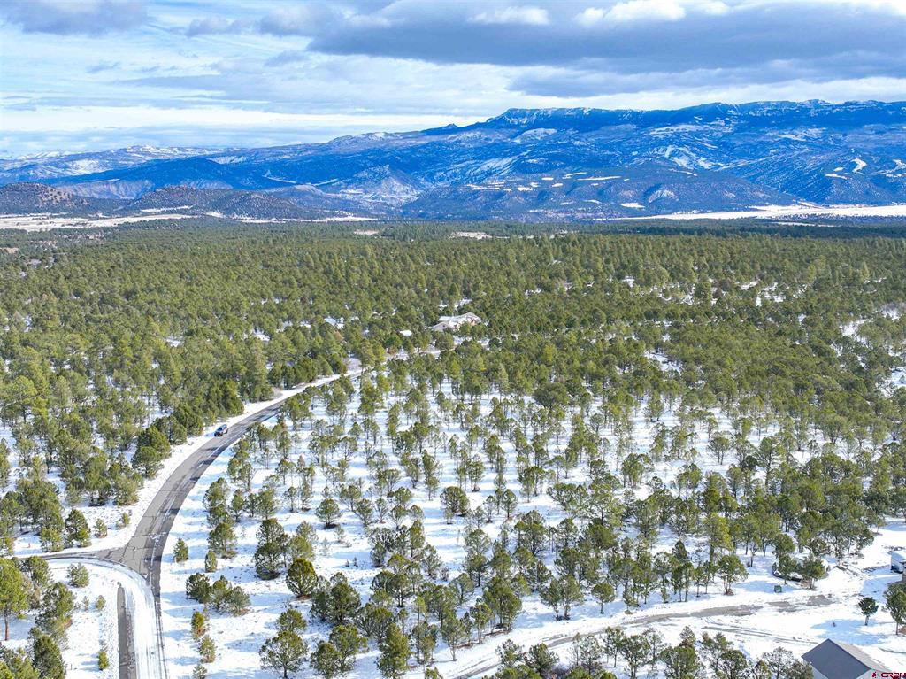 Lot 28 Fisher Canyon Drive Ridgway CO 81432