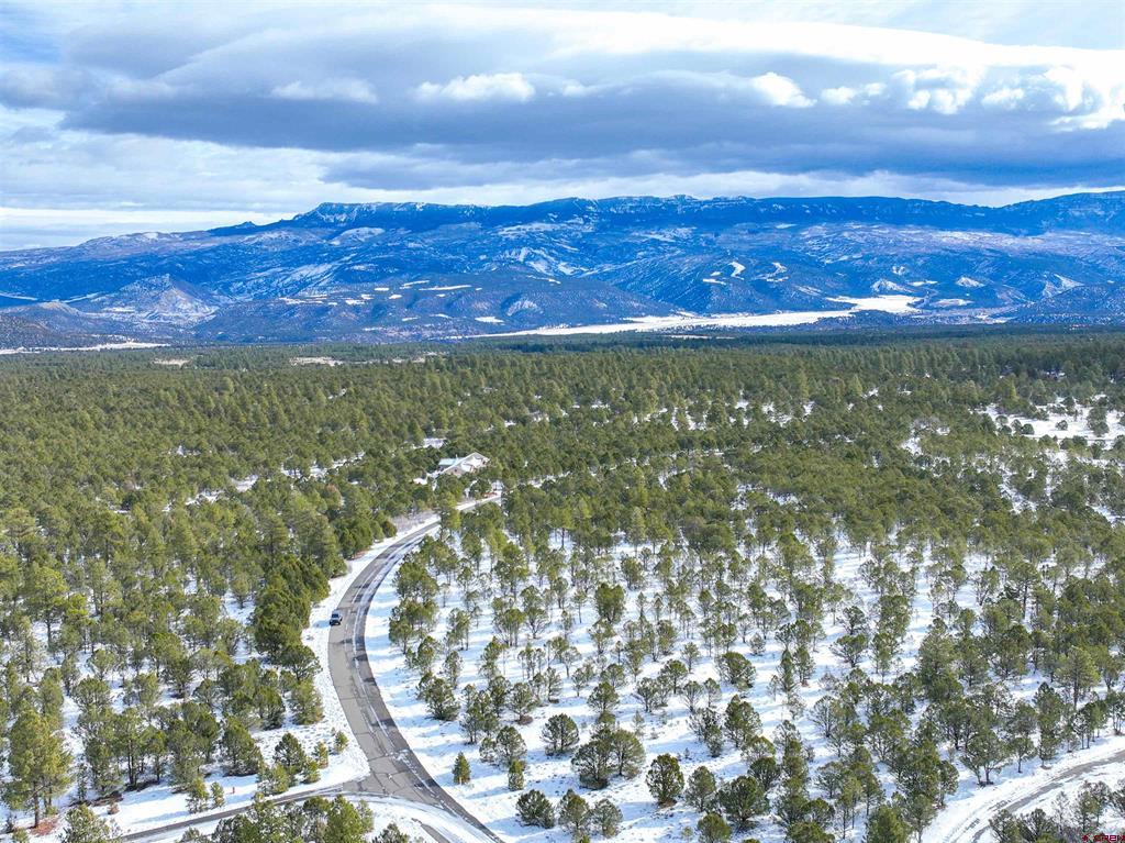 Lot 28 Fisher Canyon Drive Ridgway CO 81432