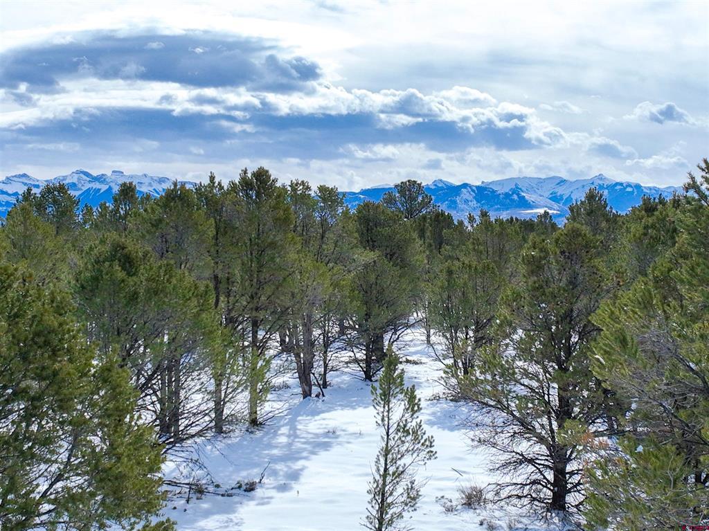 Lot 28 Fisher Canyon Drive Ridgway CO 81432