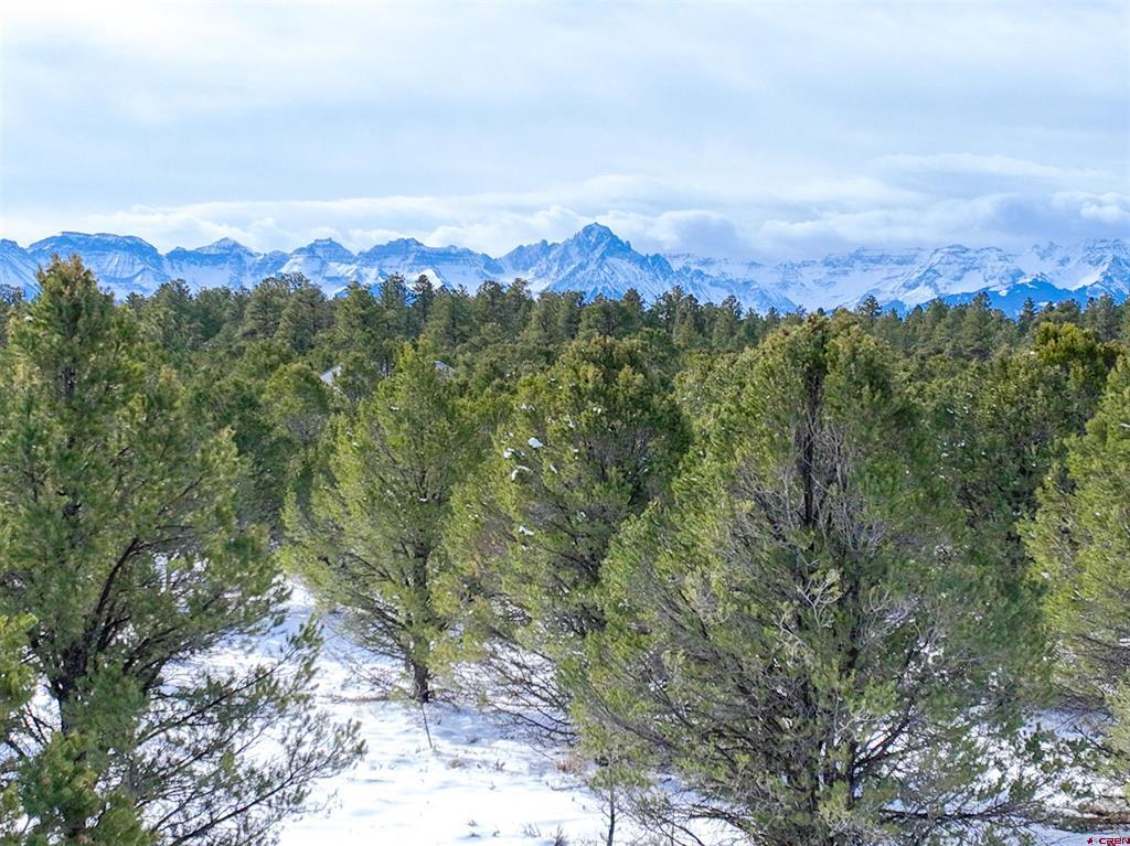 Lot 28 Fisher Canyon Drive Ridgway CO 81432