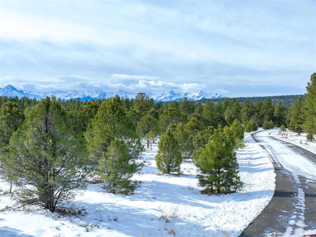 Lot 28 Fisher Canyon Drive Ridgway CO 81432
