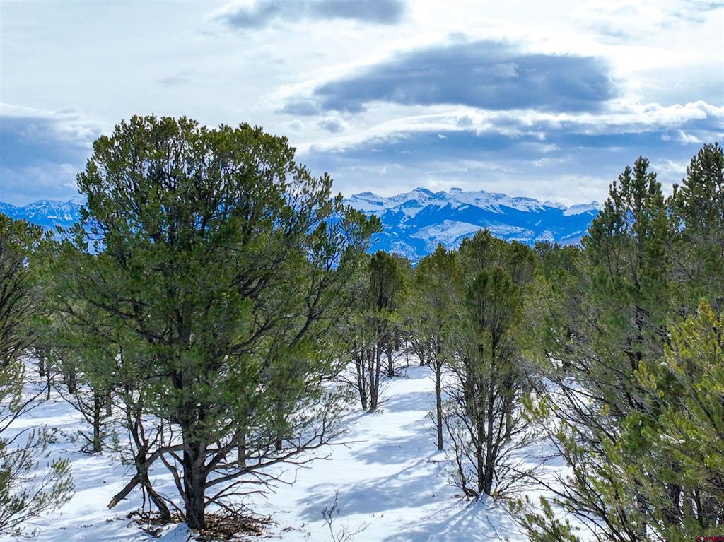 Lot 28 Fisher Canyon Drive Ridgway CO 81432