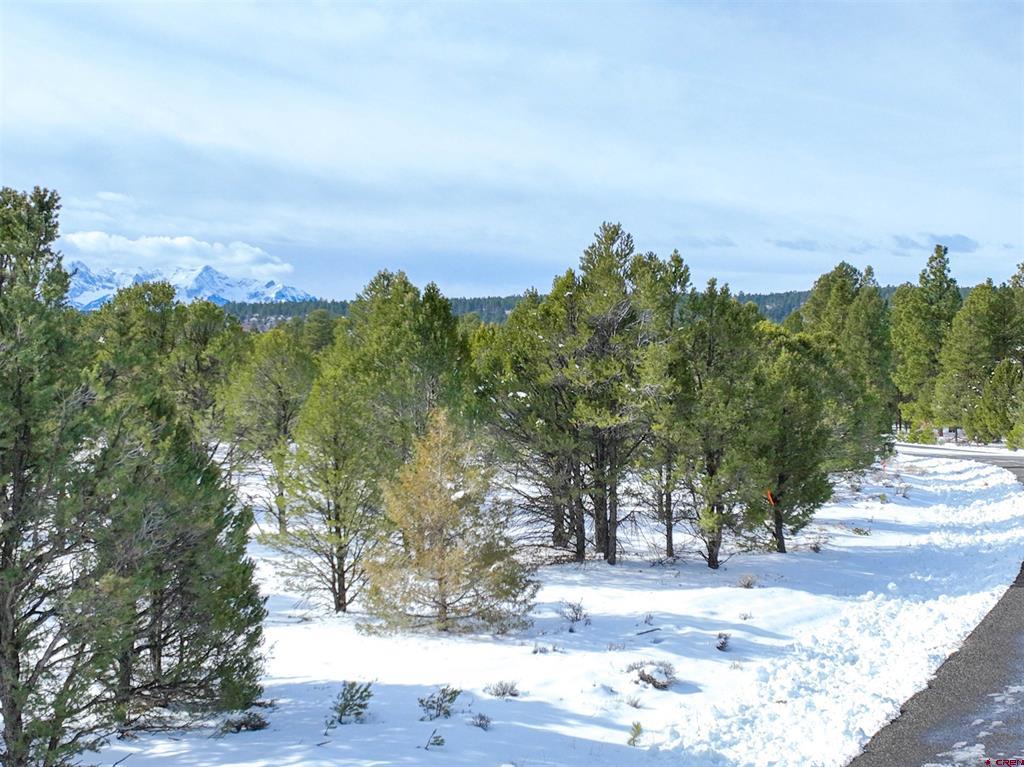Lot 28 Fisher Canyon Drive Ridgway CO 81432