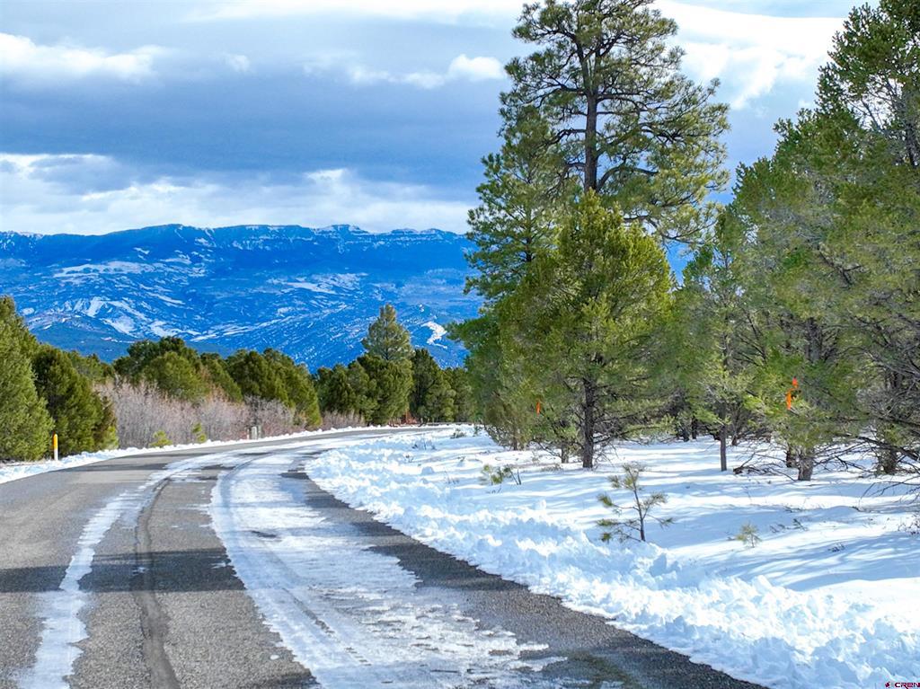 Lot 28 Fisher Canyon Drive Ridgway CO 81432