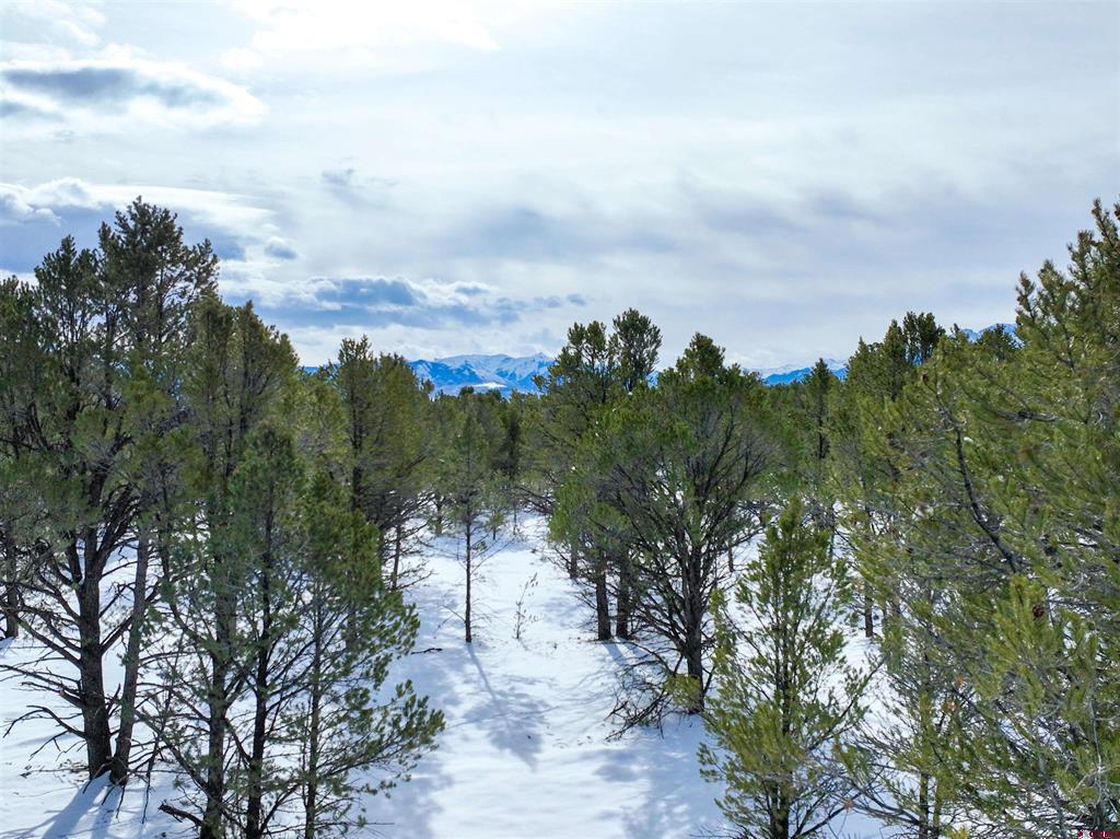 Lot 28 Fisher Canyon Drive Ridgway CO 81432