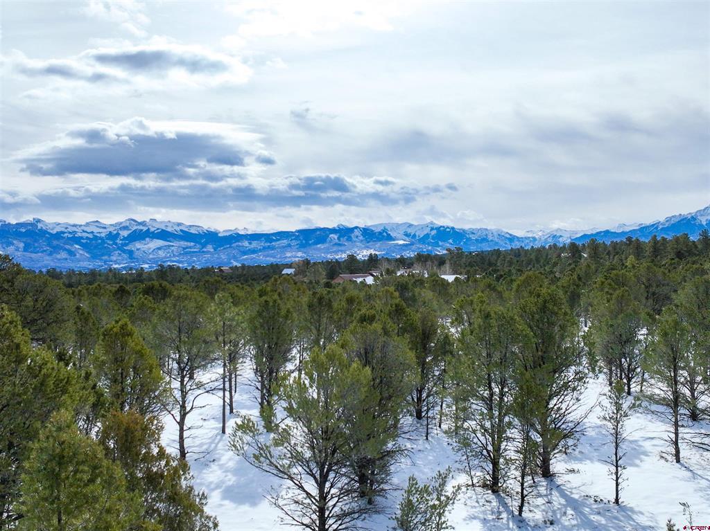 Lot 28 Fisher Canyon Drive Ridgway CO 81432
