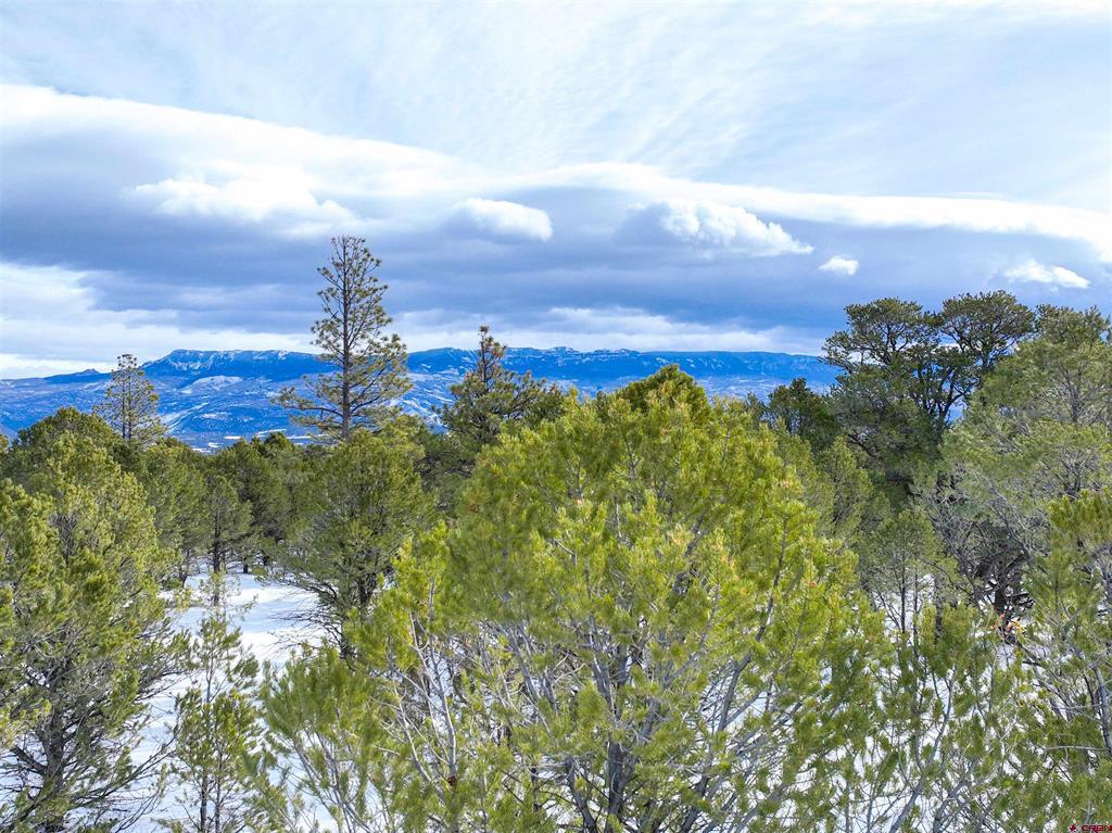 Lot 28 Fisher Canyon Drive Ridgway CO 81432