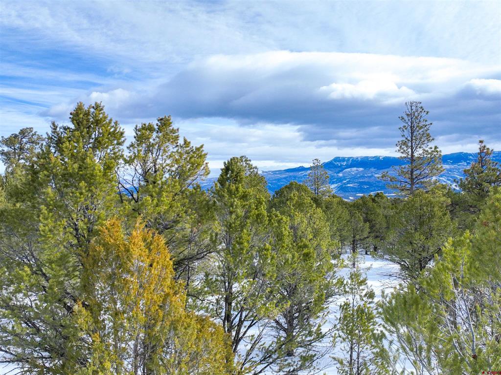 Lot 28 Fisher Canyon Drive Ridgway CO 81432