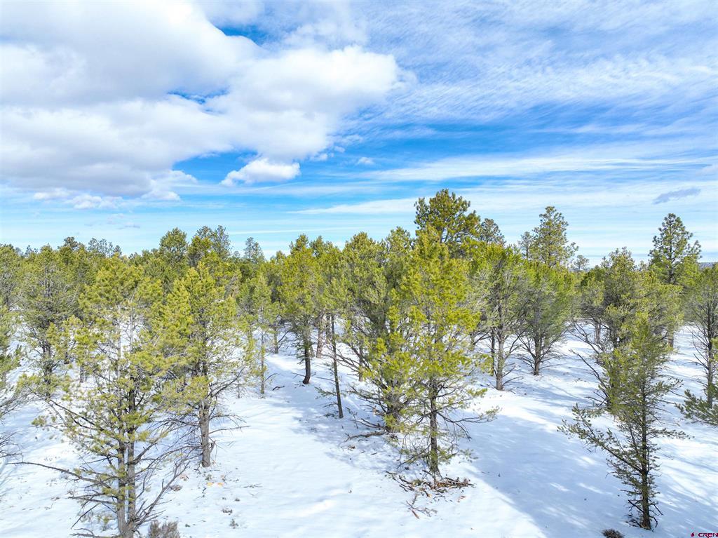 Lot 28 Fisher Canyon Drive Ridgway CO 81432