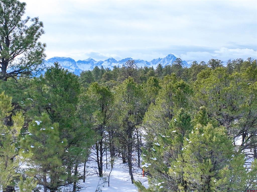 Lot 28 Fisher Canyon Drive Ridgway CO 81432