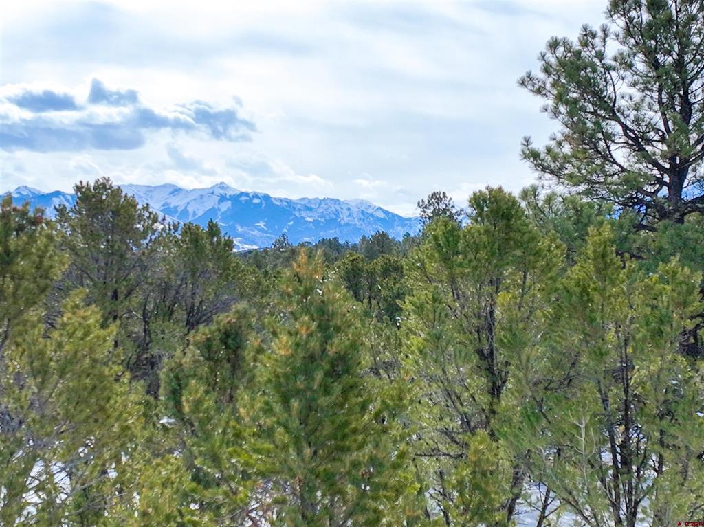 Lot 28 Fisher Canyon Drive Ridgway CO 81432
