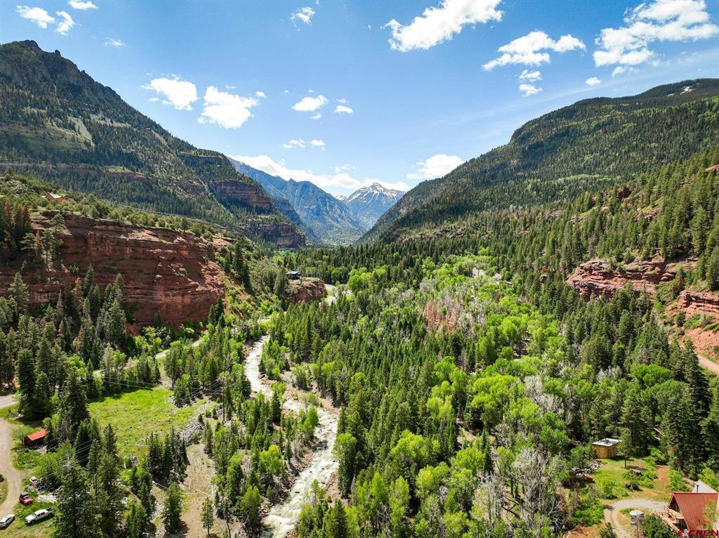 Tbd County Road 17 Ouray CO 81432