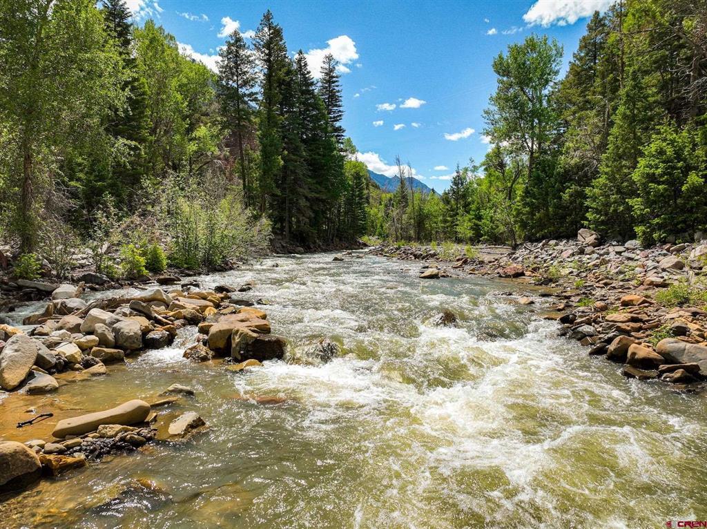 Tbd County Road 17 Ouray CO 81432