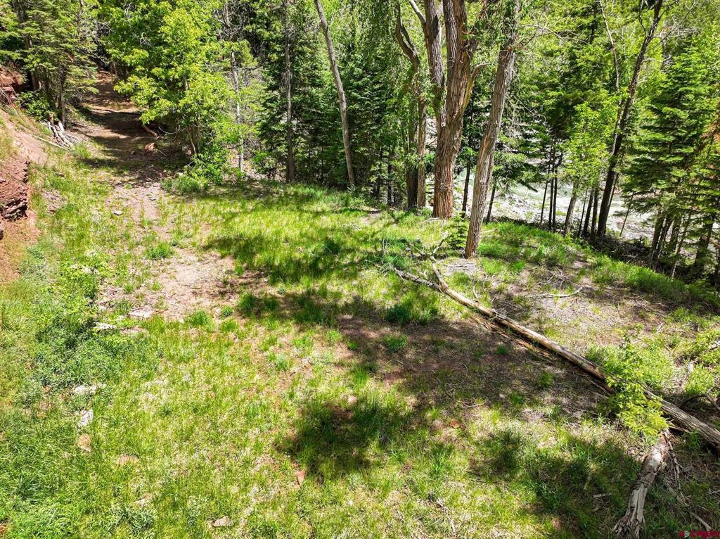 Tbd County Road 17 Ouray CO 81432