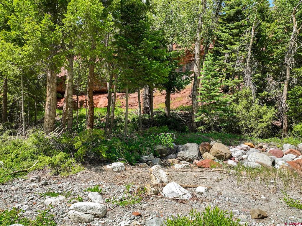 Tbd County Road 17 Ouray CO 81432