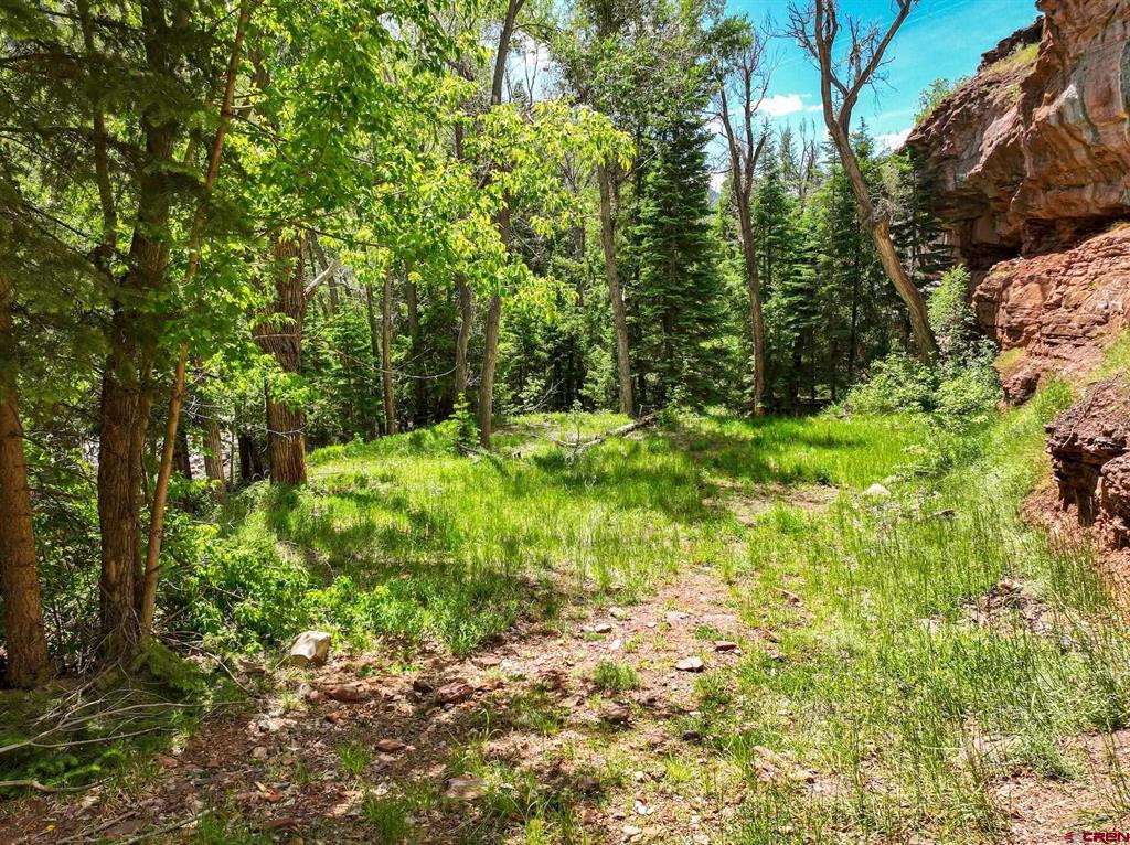 Tbd County Road 17 Ouray CO 81432