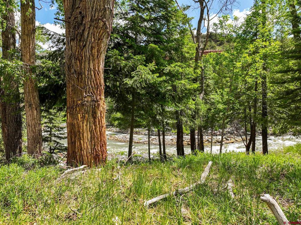 Tbd County Road 17 Ouray CO 81432