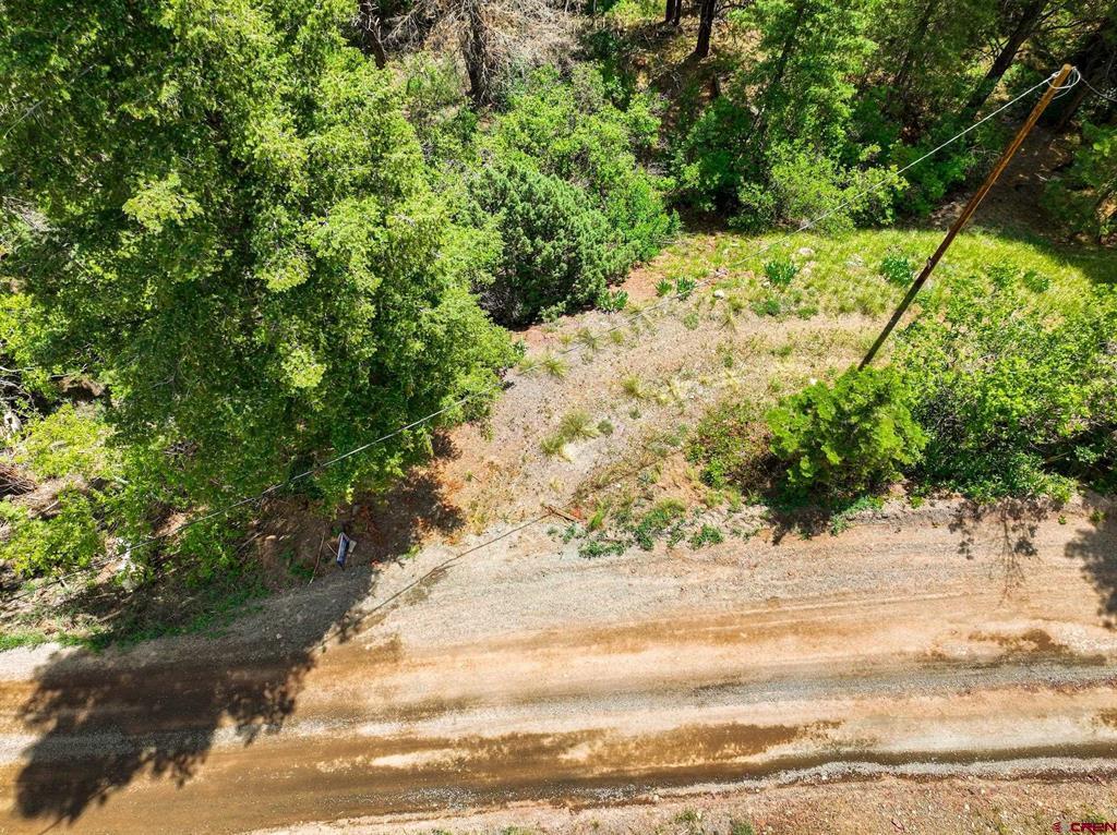 Tbd County Road 17 Ouray CO 81432
