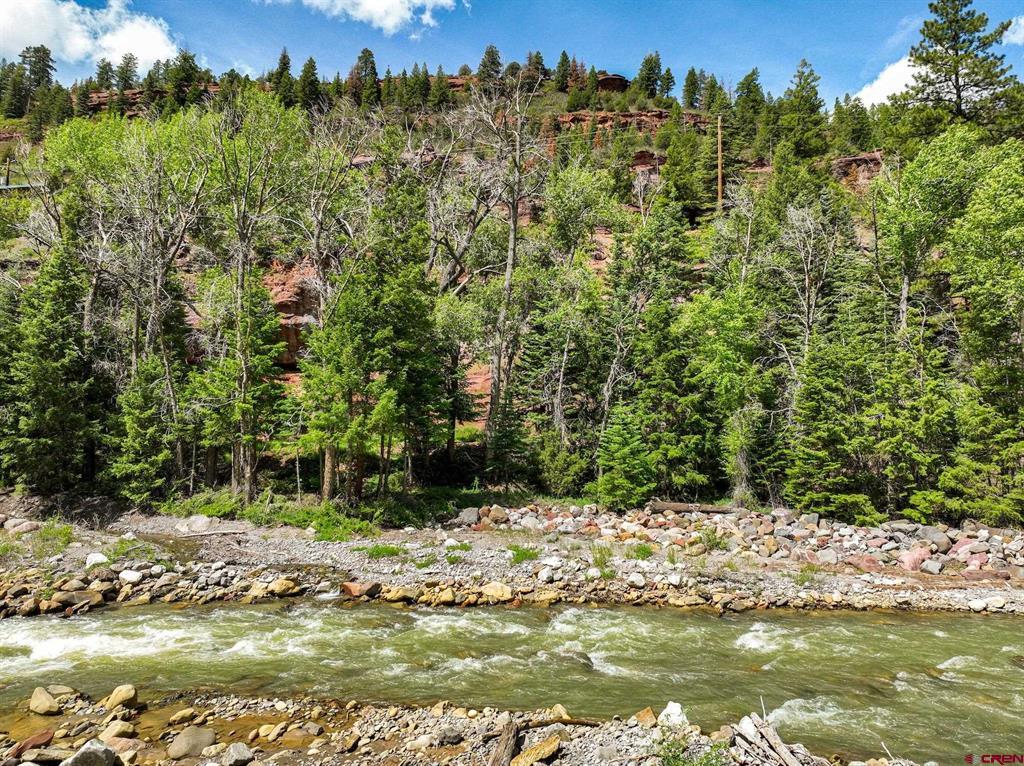 Tbd County Road 17 Ouray CO 81432