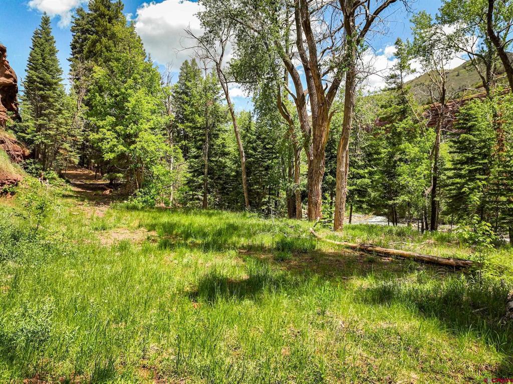 Tbd County Road 17 Ouray CO 81432