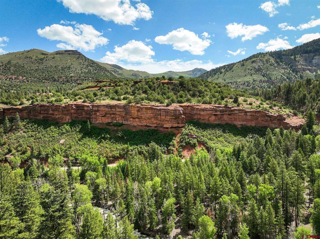 Tbd County Road 17 Ouray CO 81432