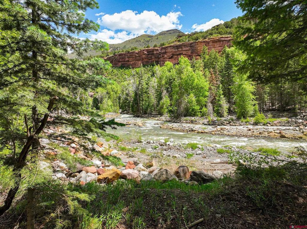 Tbd County Road 17 Ouray CO 81432