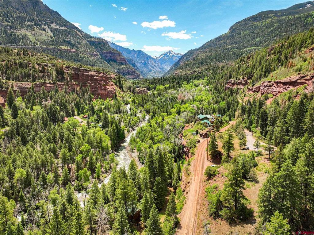 Tbd County Road 17 Ouray CO 81432