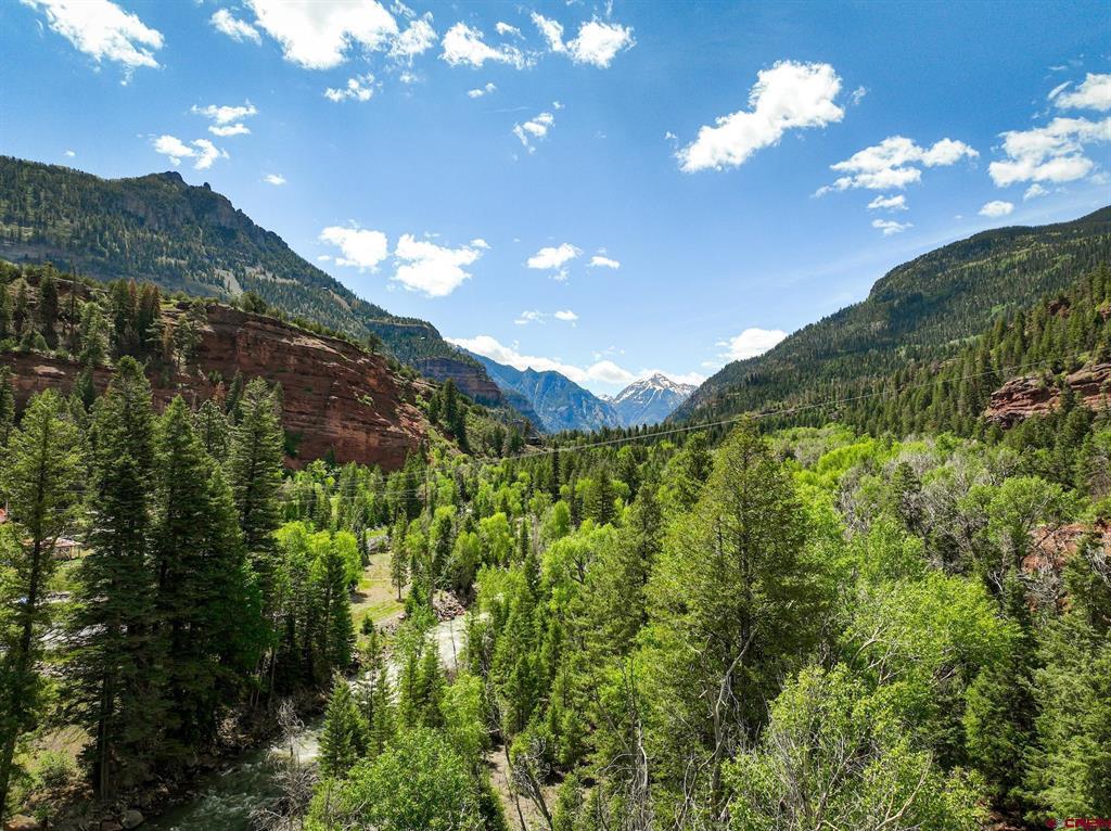 Tbd County Road 17 Ouray CO 81432