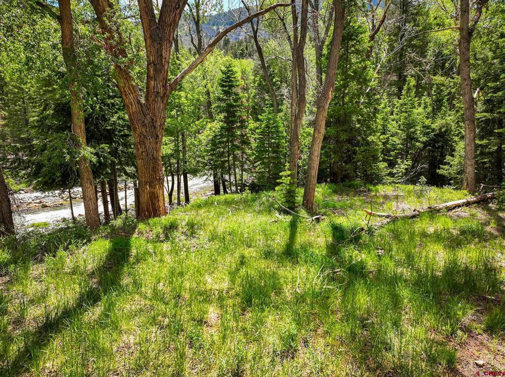 Tbd County Road 17 Ouray CO 81432