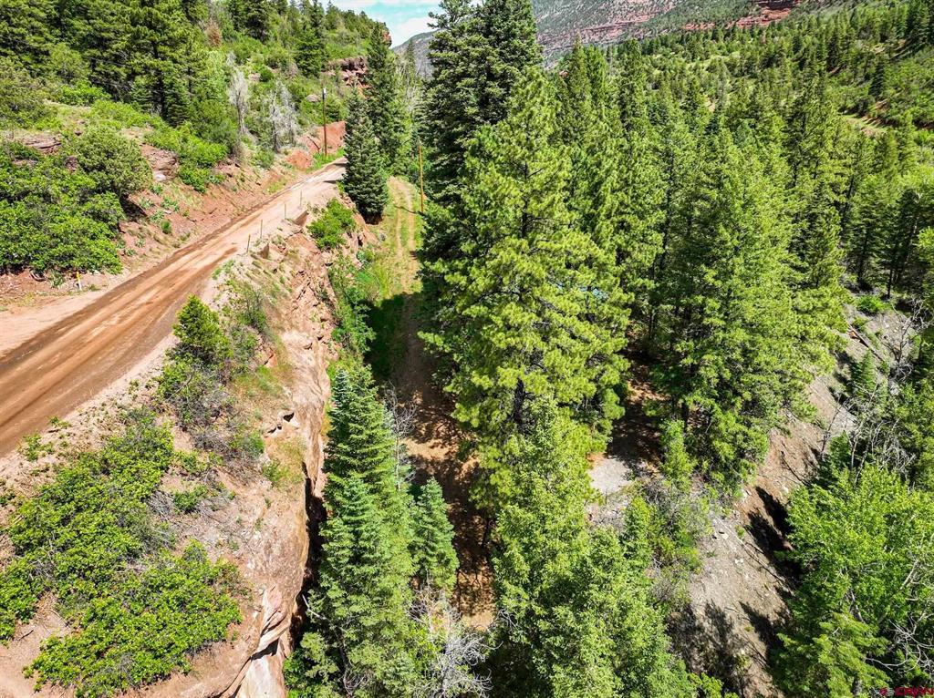Tbd County Road 17 Ouray CO 81432