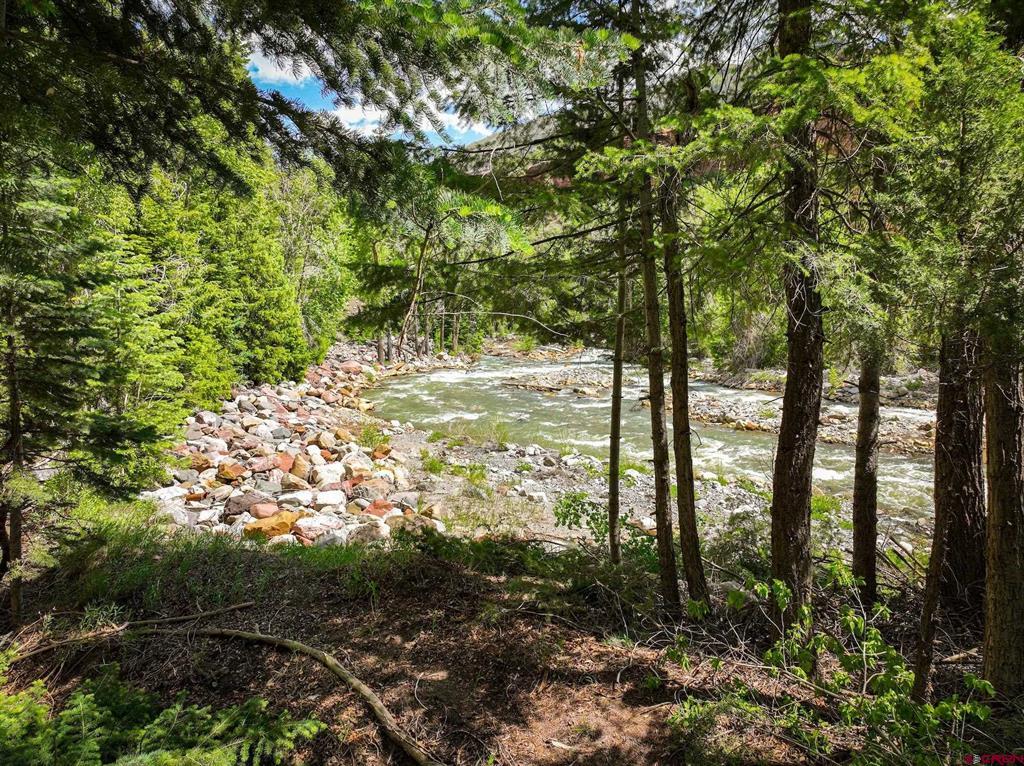 Tbd County Road 17 Ouray CO 81432