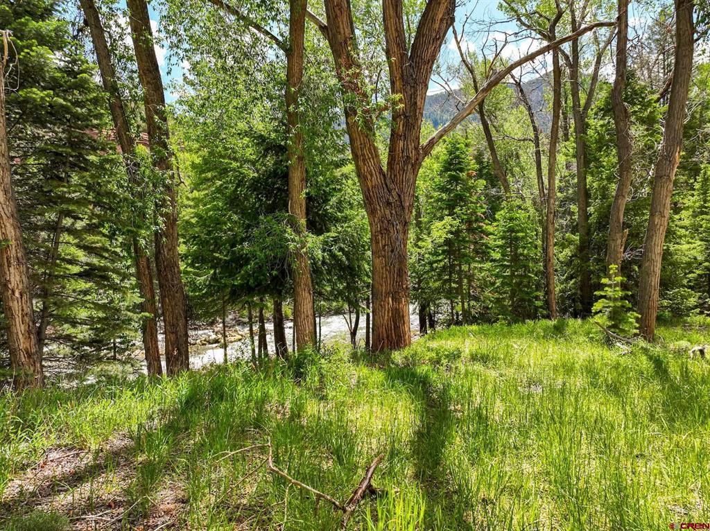 Tbd County Road 17 Ouray CO 81432