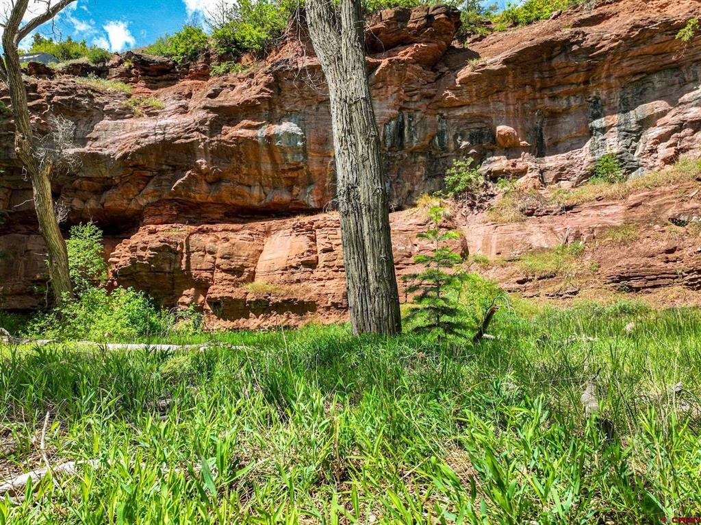 Tbd County Road 17 Ouray CO 81432