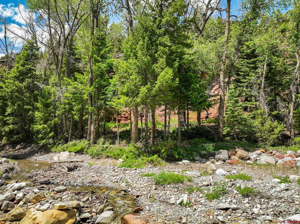 Tbd County Road 17 Ouray CO 81432